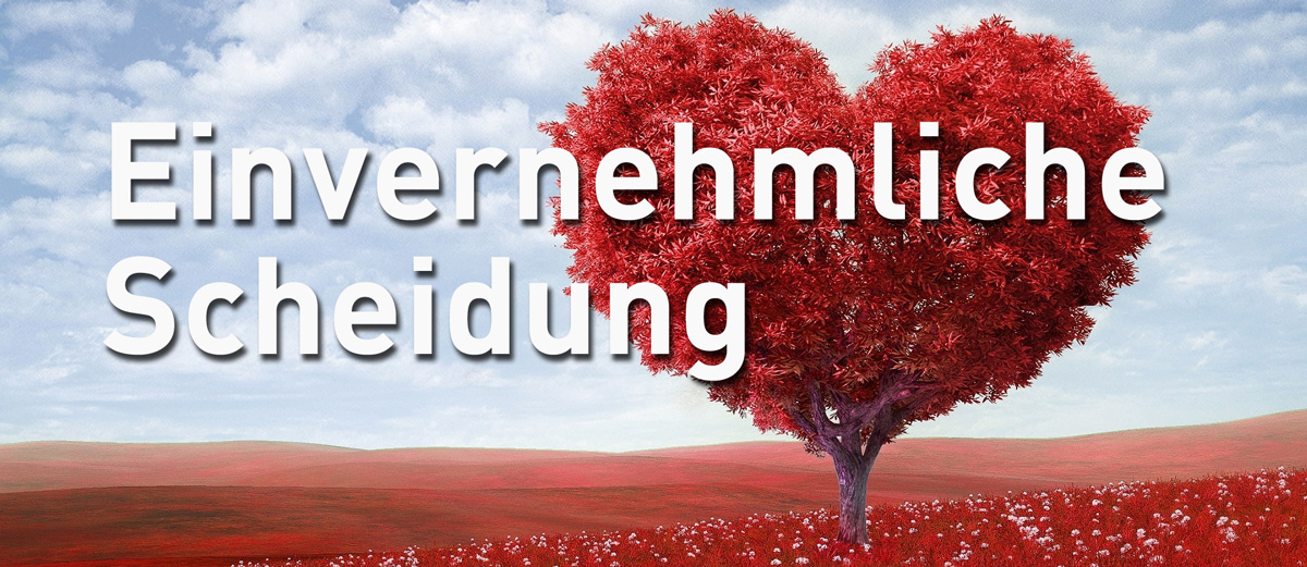 einvernehmliche scheidung header online scheidung