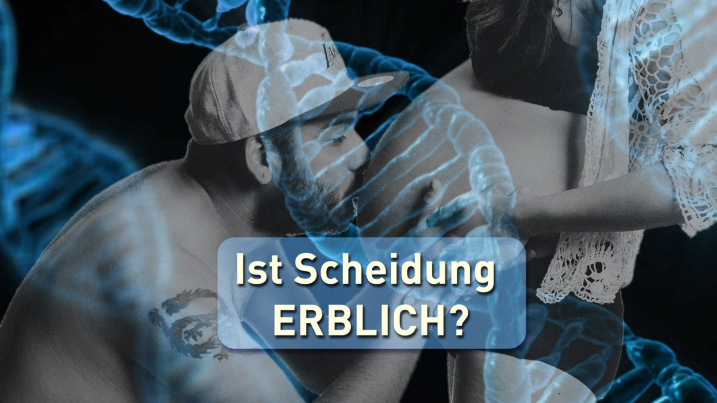 Aktuell - Forschung Genetik Scheidung ist erblich